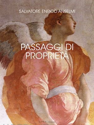 “Passaggi di proprietà” il nuovo romanzo di Salvatore Enrico Anselmi